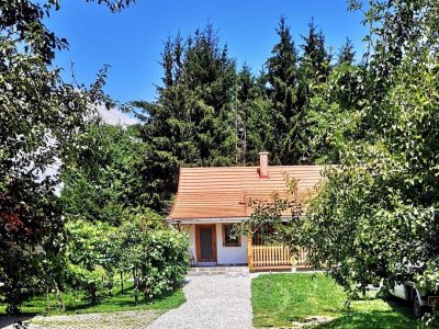 373299818_2514582138716175_8417850746807535526_n