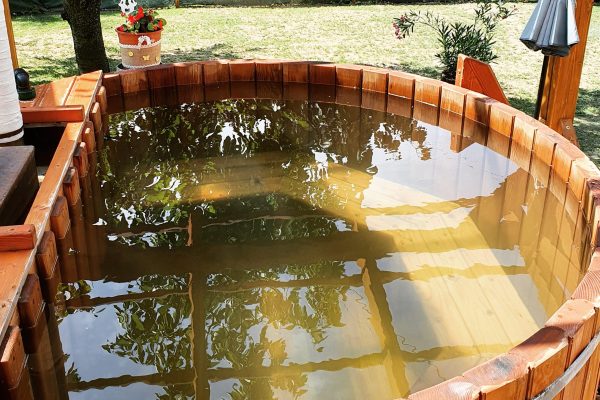 IMG_20220807_153046_297