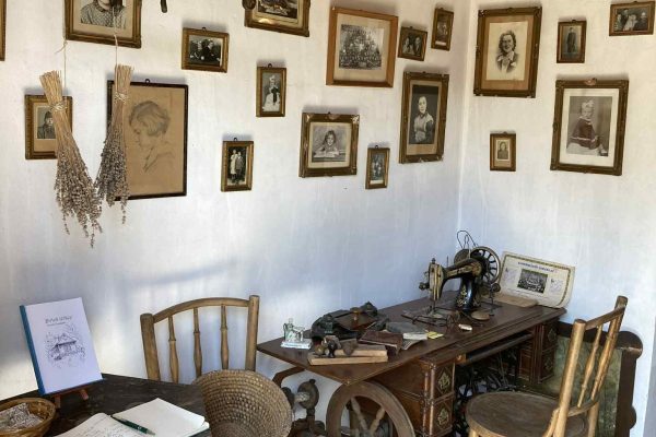 imgi_130_b076d95e-4c47-49be-b40c-fae9a1466e01